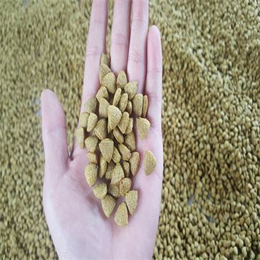 automatic-snacks-food-rotary-seasoning-mixing automatic-snacks-food-rotary-seasoning-mixing