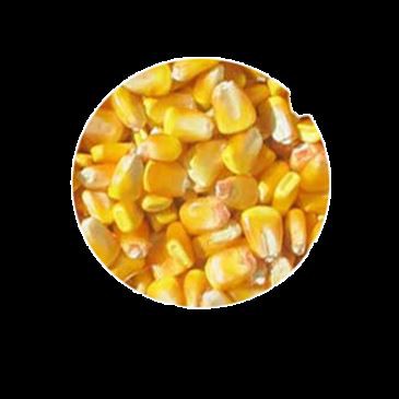 500-kg-h-horizontal-feed-mixer