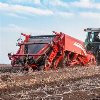 Saldo kartupeļu novākšanas mašīna